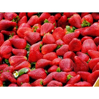 Erdbeere 15 ml